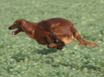 Vicky 2009